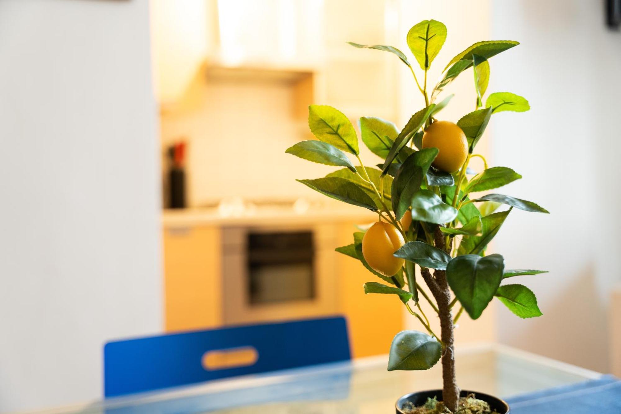 מילאנו Nice Quiet Flat In Pta Venezia מראה חיצוני תמונה